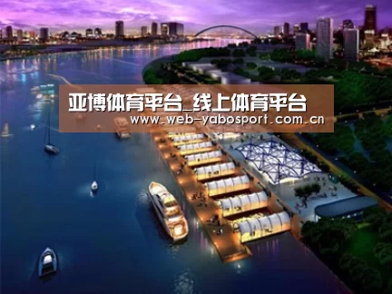 案例展示八