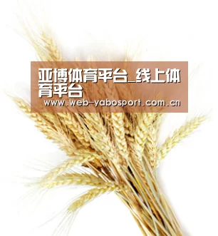 亚博体育平台_线上体育平台