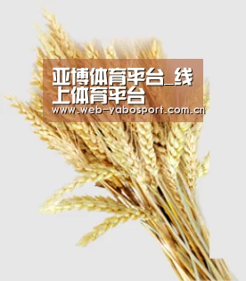 亚博体育平台_线上体育平台