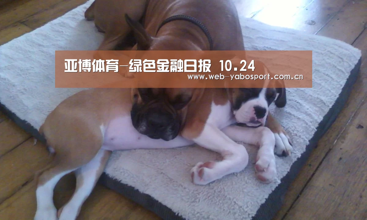 亚博体育-绿色金融日报 10.24(图1) 亚博体育官网