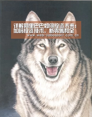 详解阿里巴巴如何投资未来:加码投资技术、新零售和全球化“亚博官网”(图3) 亚博