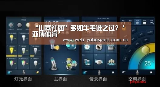 “山寨社团”多如牛毛谁之过?‘亚博体育’(图1) 亚博官网